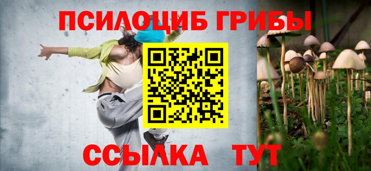 Кизилюрт  продажа наркотиков  Вход с VPN  Псилоцибиновые грибы Cubensis 